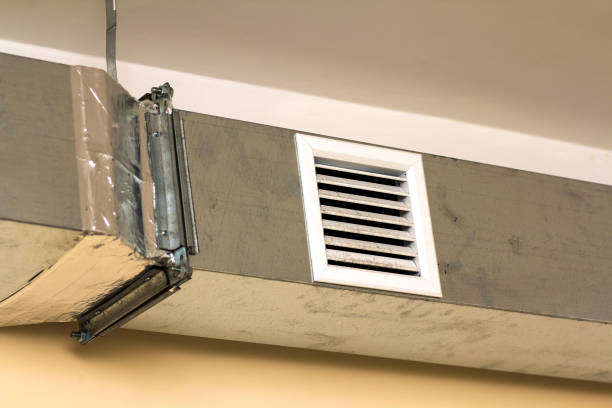Best Air Duct Mold Removal  in Otisville, NY